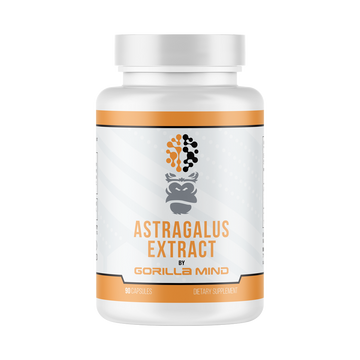 Astragalus Root Extract